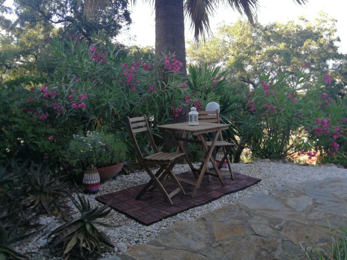 Ferienwohnung Encantador Y Amplio Estudio A 15 Min De Marbella Ojén Exterior foto